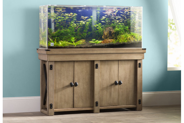 The Best Fish Tanks for Your Home or Office Wayfair